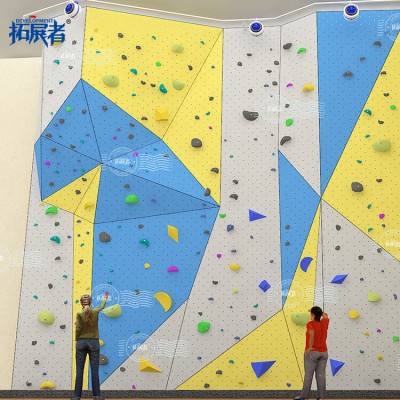 Indoor Auto Belay Rock Climbing Wall for Adults and Teenagers