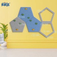 Kids Rock Climbing Walls Equipment for Home Playground Climb