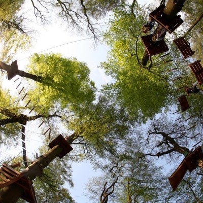 Aerial Treetop Adult Obstacle Course Builder Forest Adventure Course